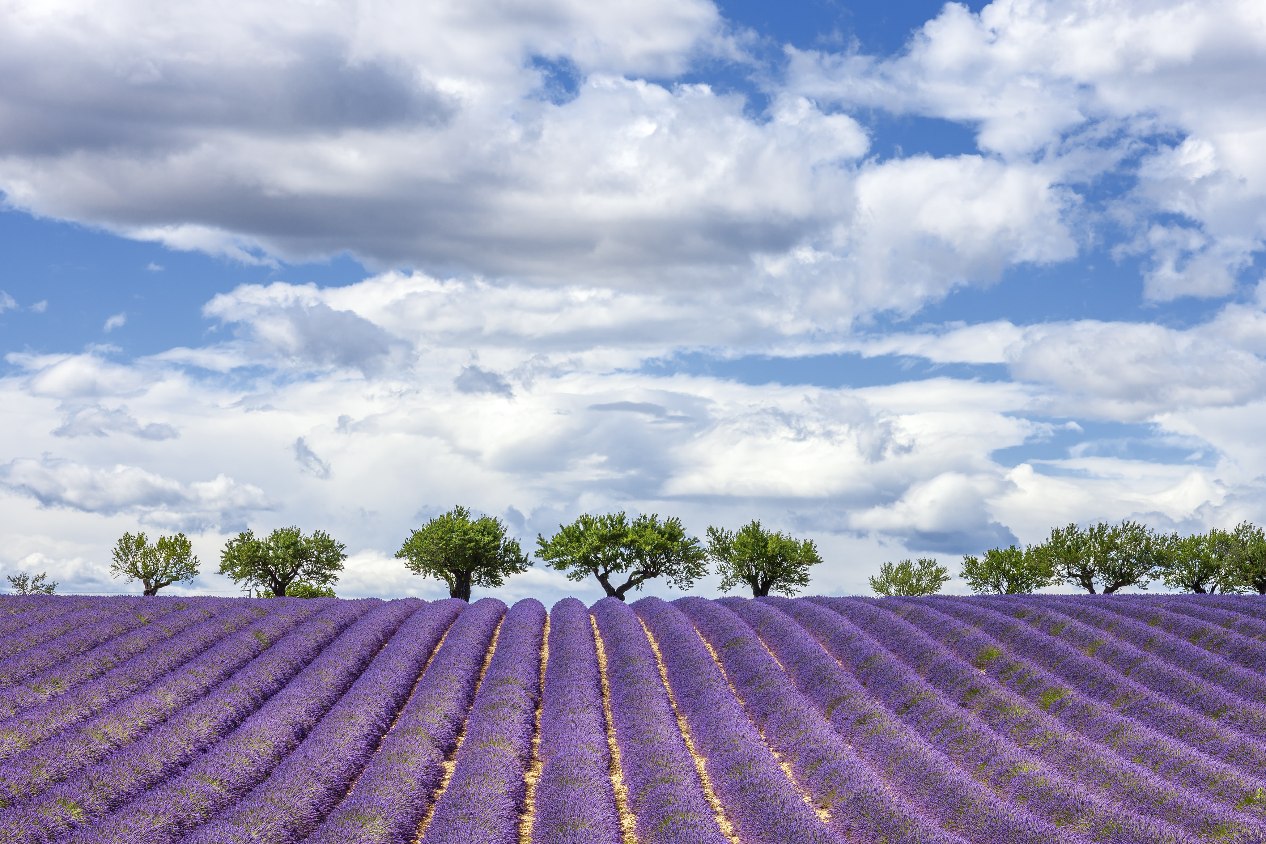 Provence